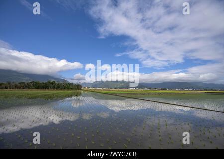 Eine ruhige Landschaft mit wassergefüllten Reisfeldern, die den Himmel mit fernen Bergen und Wolken reflektieren Stockfoto
