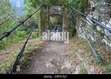 Das Bild zeigt eine einsame Frau, die auf einer hölzernen Hängebrücke, umgeben von üppigem Grün, von der Kamera weggeht Stockfoto