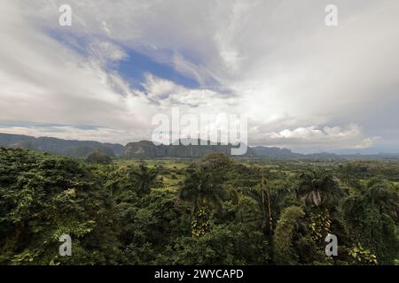 Südöstliche nach nordwestliche Ansicht des Viñales-Tals von der Aussicht auf die Straße 241 mit Blick auf die Berghänge der karstischen geomorphologischen Formation Stockfoto