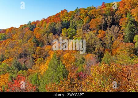 Herbst Colors auf einem Ohio Hillside im Hocking Hills State Park in Ohio Stockfoto