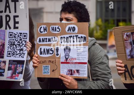 London, Großbritannien. April 2024. Tierschützer versammelten sich vor der chinesischen Botschaft in London, um gegen einen gemeldeten Katzenfolterring in China zu protestieren. Derzeit gibt es in China praktisch keine Tierschutzgesetze, und Berichten zufolge ist ein beunruhigender Trend zu verzeichnen, dass junge Menschen sich selbst filmen, Katzen und Kätzchen sowie andere Tiere brutal foltern und Videos in sozialen Medien veröffentlichen. Quelle: Vuk Valcic/Alamy Live News Stockfoto