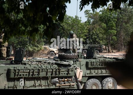 Ein US-Armeesoldat, der der Chosin Kompanie, 1. Bataillon, 17. Infanterieregiment, 2. Stryker Brigade Combat Team, 7. Infanteriedivision zugewiesen ist, lädt einen MK19 Granatwerfer auf einem M1126 Stryker Infanteriewagen während einer Live-Feuerübung während der Übung Cobra Gold 24, 6. März 2024. in der Provinz Sa Kaeo, Königreich Thailand. Die Übung ist eine der größten militärischen Übungen auf dem asiatischen Festland. (Foto der US-Armee von Stabsleiter Effie Mahugh, 7. Infanteriedivision) Stockfoto