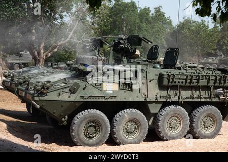 US Army M1126 Stryker Infanterie Carrier Fahrzeuge der Chosin Company, 1. Bataillon, 17. Infanterieregiment, 2. Stryker Brigade Combat Team, 7. Infanteriedivision, feuern eine Maschinenpistole des Kalibers M2 Browning .50 und einen MK19 Granatwerfer während einer Live-Feuerübung während der Übung Cobra Gold 24. März 6. 2024 in der Provinz Sa Kaeo, Königreich Thailand. Die Übung ist eine der größten militärischen Übungen auf dem asiatischen Festland. (Foto der US-Armee von Stabsleiter Effie Mahugh, 7. Infanteriedivision) Stockfoto
