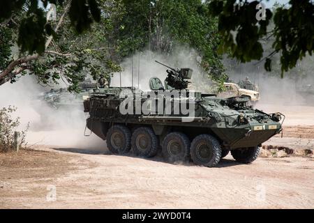 Ein Stryker-Infanterie-Trägerfahrzeug der US Army M1126, das der Chosin Company, 1. Bataillon, 17. Infanterieregiment, 2. Stryker Brigade Combat Team, 7. Infanteriedivision, zugeteilt wurde, nähert sich während einer Live-Feuerübung während der Übung Cobra Gold 24, 6. März 2024, in der Provinz Sa Kaeo, Königreich Thailand, seiner Schussposition. Die Übung ist eine der größten militärischen Übungen auf dem asiatischen Festland. (Foto der US-Armee von Stabsleiter Effie Mahugh, 7. Infanteriedivision) Stockfoto