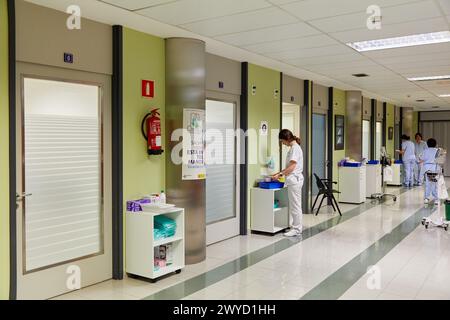 Hämatologie, Krankenhaus Donostia, San Sebastian, Gipuzkoa, Baskenland, Spanien. Stockfoto