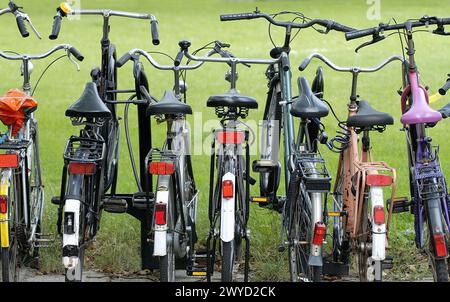 Fahrradpark am Hauptbahnhof. Rotterdam. Holland. Stockfoto