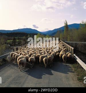 Huesca. Spanien. Stockfoto