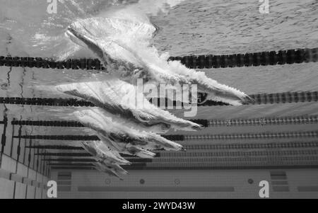 LONDON, VEREINIGTES KÖNIGREICH. April 2024. (HINWEIS FÜR FOTOGRAFEN: Bild wurde in Schwarzweiß konvertiert.) Eine allgemeine Unterwasseransicht der Teilnehmer taucht für die MC 400 m Freestyle für Damen ein - Vorläufe während der Speedo Aquatics GB Schwimmen-Meisterschaft 2024 - Tag 4 im London Aquatics Centre am Freitag, 5. April 2024. LONDON ENGLAND. Quelle: Taka G Wu/Alamy Live News Stockfoto