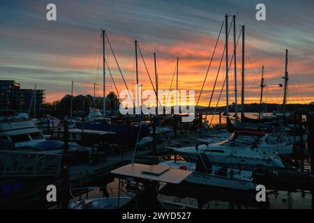 Victoria, Kanada – 31. März 2024. Victoria Harbour Marina Sunset BC. Warmer Sonnenuntergang über einem der Yachthäfen im Victoria Harbour. British Columbia, Canad Stockfoto
