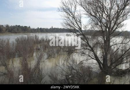 Überschwemmungen am Ebro-Fluss. Februar 2003. Pina de Ebro, Provinz Saragossa. Spanien. Stockfoto