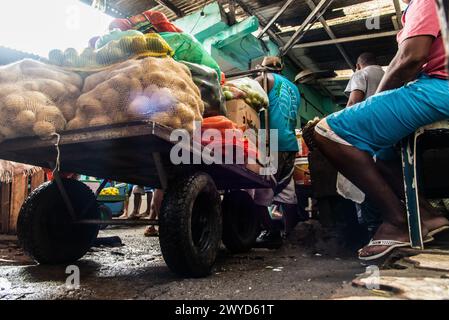 Salvador, Bahia, Brasilien - 6. April 2019: Menschen werden auf der Messe Sao Joaquim in Salvador, Bahia, beobachtet. Stockfoto