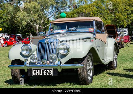1955 MG TF 1500 Sportwagen auf dem MG Centenary National Meeting in Tamworth Australien am 30. März 2024. Stockfoto