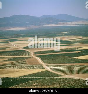 Ackerland. Consuegra. Provinz Toledo. Kastilien-La Mancha. Spanien. Stockfoto