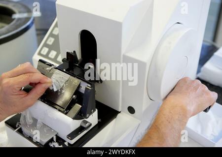 Rotationsparaffinmikrotom, Gewebeprobe vorbereiten, pathologische Anatomie. Krankenhaus Universitario Gran Canaria Arzt Negrin, Las Palmas de Gran Canaria. Kanarische Inseln, Spanien. Stockfoto