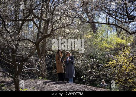 Kiew, Ukraine. April 2024. Die Menschen verbringen Zeit in der Nähe blühender Magnolienbäume in einem Park im Zentrum von Kiew. Quelle: SOPA Images Limited/Alamy Live News Stockfoto