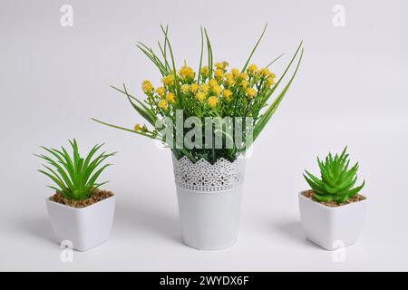 Set künstlicher Pflanzen in Töpfen isoliert auf weißem Hintergrund. Inneneinrichtung Stockfoto