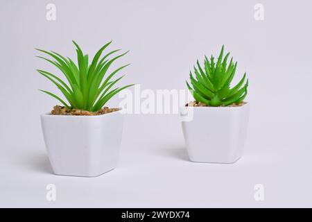 Plastische Grünpflanzen in Töpfen. Falsche Pflanze in einem Topf auf weißem Hintergrund. Inneneinrichtung. Stockfoto