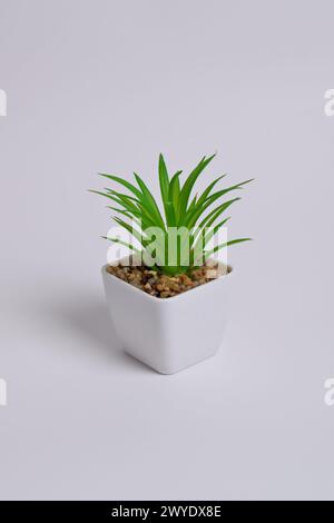 Plastische Grünpflanzen in Töpfen. Falsche Pflanze in einem Topf auf weißem Hintergrund. Inneneinrichtung. Stockfoto