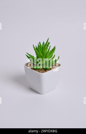 Plastische Grünpflanzen in Töpfen. Falsche Pflanze in einem Topf auf weißem Hintergrund. Inneneinrichtung. Stockfoto