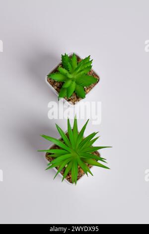 Plastische Grünpflanzen in Töpfen. Falsche Pflanze in einem Topf auf weißem Hintergrund. Inneneinrichtung. Stockfoto