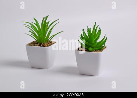 Plastische Grünpflanzen in Töpfen. Falsche Pflanze in einem Topf auf weißem Hintergrund. Inneneinrichtung. Stockfoto