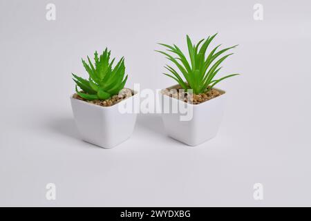 Plastische Grünpflanzen in Töpfen. Falsche Pflanze in einem Topf auf weißem Hintergrund. Inneneinrichtung. Stockfoto
