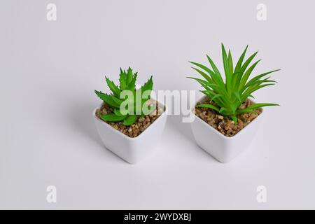 Plastische Grünpflanzen in Töpfen. Falsche Pflanze in einem Topf auf weißem Hintergrund. Inneneinrichtung. Stockfoto