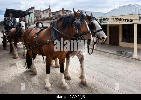 Pferdekutsche auf Sovereign Hill, wiederaufgebautes Goldgräberdorf und Touristenattraktion in Ballarat Stockfoto