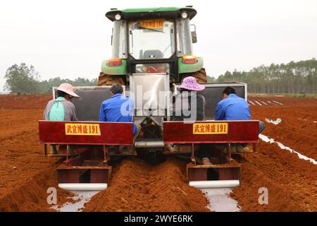 Nanning, Autonomes Gebiet Guangxi Zhuang. März 2024. Die Bauern arbeiten mit einer Zuckerrohrsaat-Maschine, die von einem fahrerlosen Traktor gezogen wird, der auf einem Feld im Wuxuan County Laibin, Autonomous Region Guangxi Zhuang, 13. März 2024, einer Satellitenroute folgt. UM MIT 'Across China: Moderne Agrartechnologien helfen Zuckerrohranpflanzung in Südchina' zu BEGINNEN Credit: Luo Wenwu/Xinhua/Alamy Live News Stockfoto