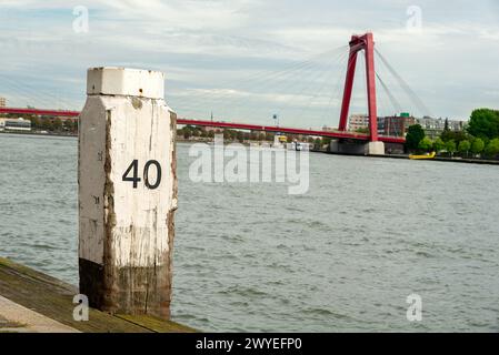 Skyline von Rotterdam von einem Boot mit Williams Bridge. Willemsbrug Stockfoto