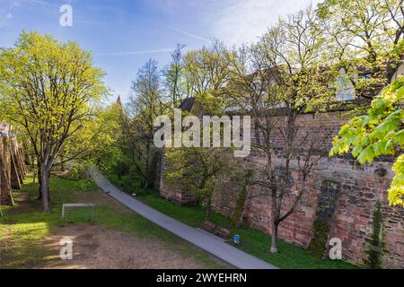 Frühling in Nürnberg Impressionen vom ersten warmen Tag des Jahres in Nürnberg: Überall präsentiert sich das frische Grün der blühenden Vegetation. Nürnberg Bayern Deutschland *** Frühling in Nürnberg Impressionen vom ersten warmen Tag des Jahres in Nürnberg das frische Grün der blühenden Vegetation ist überall Nürnberg Bayern Deutschland 20240406-6V2A9584 Stockfoto