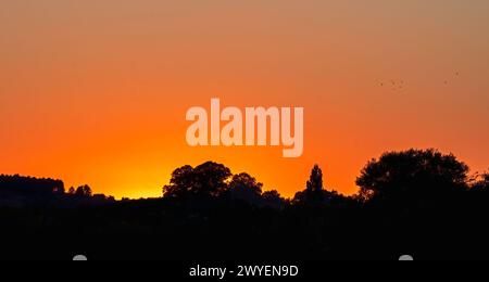 Ein dramatischer orangefarbener Sonnenuntergang über Perry Moor in der Nähe von Muchelney, Somerset, England, an einem klaren Sommerabend. Stockfoto