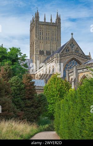 Wells Cathedral vom Wells Garden im Bishops Palace, Wells, Somerset, England, Großbritannien Stockfoto