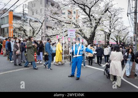 Tokio, Japan. April 2024. Der Verkehrsoffizier regelt den Fluss der Menschen entlang des Meguro Flusses während der Kirschblüte. Am 6. April 2024 konnten die Bürger Tokios und Touristen endlich die Kirschblüte bei schönem Wetter an einem samstag nach einer Woche voller Regen und niedrigen Temperaturen genießen. Quelle: SOPA Images Limited/Alamy Live News Stockfoto