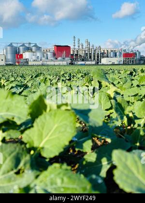 Blick auf Methanol- und Ethanolfabrik. Polnischer Hersteller von Bioethanol und Ethanol aus Maiskorn. Das Produktionswerk befindet sich in der Nähe von Nysa in Stockfoto