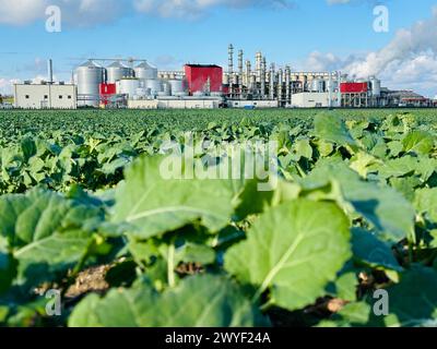 Blick auf Methanol- und Ethanolfabrik. Polnischer Hersteller von Bioethanol und Ethanol aus Maiskorn. Das Produktionswerk befindet sich in der Nähe von Nysa in Stockfoto