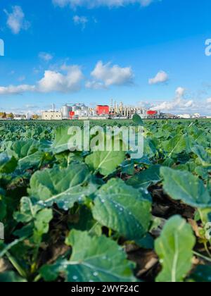 Blick auf Methanol- und Ethanolfabrik. Polnischer Hersteller von Bioethanol und Ethanol aus Maiskorn. Das Produktionswerk befindet sich in der Nähe von Nysa in Stockfoto