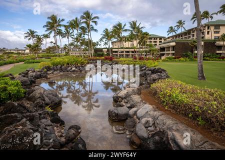 Palmen spiegeln sich im stillen Wasser eines Teichs auf dem Gelände des Grand Hyatt Kauai Resort and Spa in Koloa, Hawaii. Stockfoto