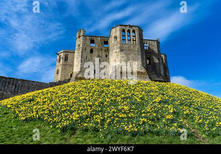 Warkworth Castle, Northumberland, England, Großbritannien, Europa Stockfoto