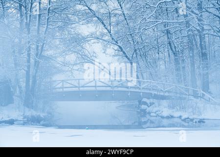 Eine robuste Brücke erstreckt sich über einen schnell fließenden Fluss in einem schneebedeckten Wald. Die Brücke ist mit Schnee bedeckt und steht im Kontrast zum dunklen Wasser Stockfoto