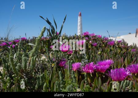 Faro, Algarve, Portugal Stockfoto