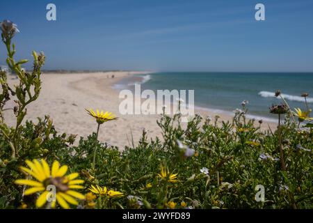 Faro, Algarve, Portugal Stockfoto