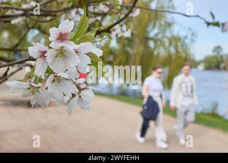 Hamburg, Deutschland. April 2024. Wanderer schlendern bei angenehmen Temperaturen entlang der Außenalster. Quelle: Georg Wendt/dpa/Alamy Live News Stockfoto