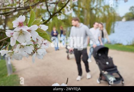 Hamburg, Deutschland. April 2024. Wanderer schlendern bei angenehmen Temperaturen entlang der Außenalster. Quelle: Georg Wendt/dpa/Alamy Live News Stockfoto