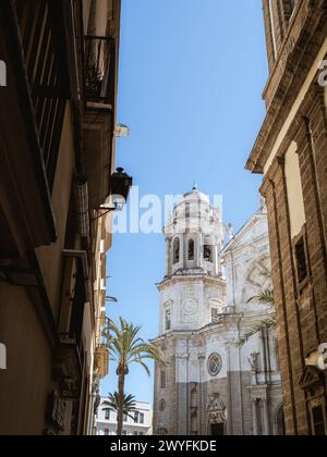 Die Kathedrale von Cadiz (Catedral de la Santa Cruz de Cádiz) aus weißem Marmor, von einer engen Altstadtstraße aus gesehen, Palmen, blauer Himmel, Sommer Stockfoto