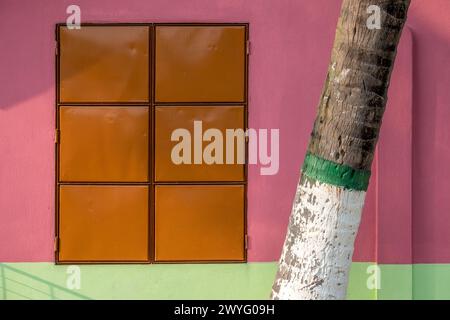 Ein bemalter Palmenstamm wächst an einem mit Metall versehenen Fenster eines bunt bemalten Hauses. Stockfoto