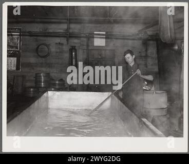 Käseherstellung in der ländlichen Käsefabrik. Oswego County, New York Stockfoto