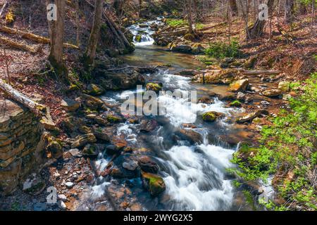 Roaring Run Creek im Alleghany County an einem frühen Frühlingstag. Erholungsgebiet Mit Roaring Run. Virginia. USA Stockfoto