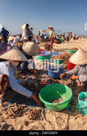 Arbeiter, die Fische am Strand auf dem Fischmarkt in Mui ne in Vietnam in Südostasien sortieren Stockfoto