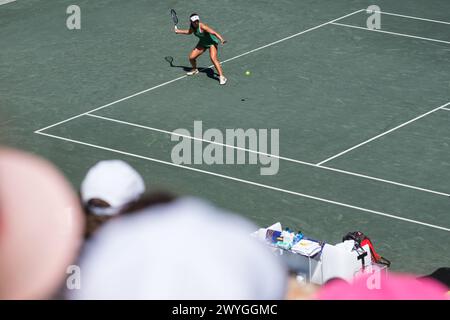 Charleston, South Carolina, USA. April 2024. (1) JESSICA PEGULA aus den USA trifft den Ball an (4) DARIA KASATKINA während des Halbfinals der Credit One Charleston Open (Credit Image: © Maxwell Vittorio/ZUMA Press Wire) NUR REDAKTIONELLE VERWENDUNG! Nicht für kommerzielle ZWECKE! Stockfoto